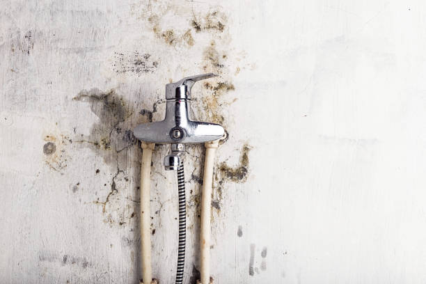 Best Mold Testing  in Ainsworth, NE