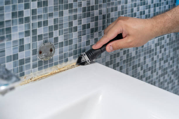 Best Mold Damage Repair  in Ainsworth, NE