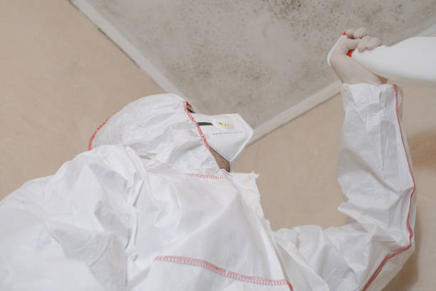Best Commercial Mold Removal  in Ainsworth, NE